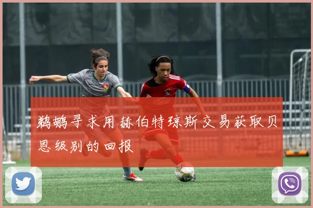 鹈鹕寻求用赫伯特琼斯交易获取贝恩级别的回报