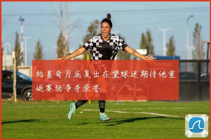 约基奇月底复出在望球迷期待他重返赛场争夺荣誉