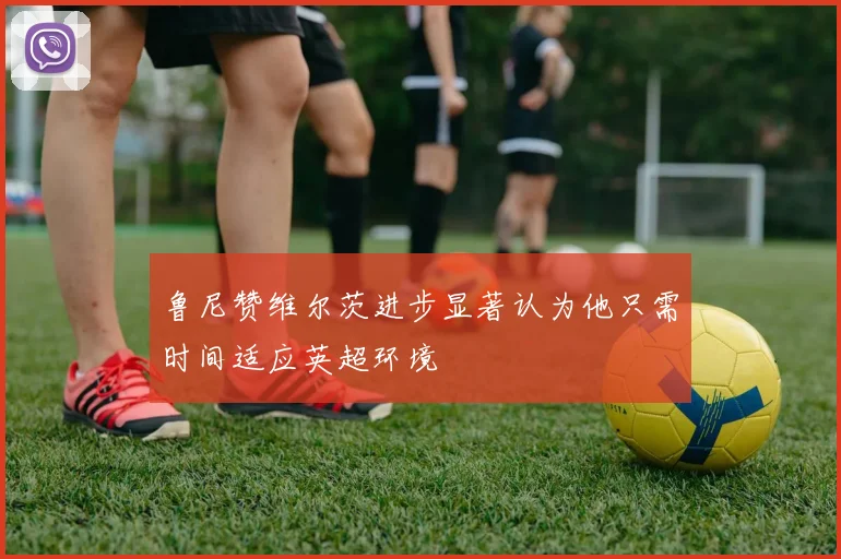 鲁尼赞维尔茨进步显著认为他只需时间适应英超环境