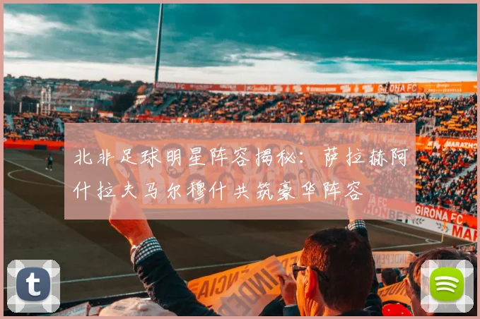 北非足球明星阵容揭秘：萨拉赫阿什拉夫马尔穆什共筑豪华阵容